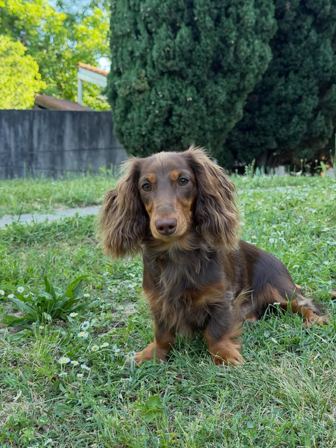 Parents Molly Male
