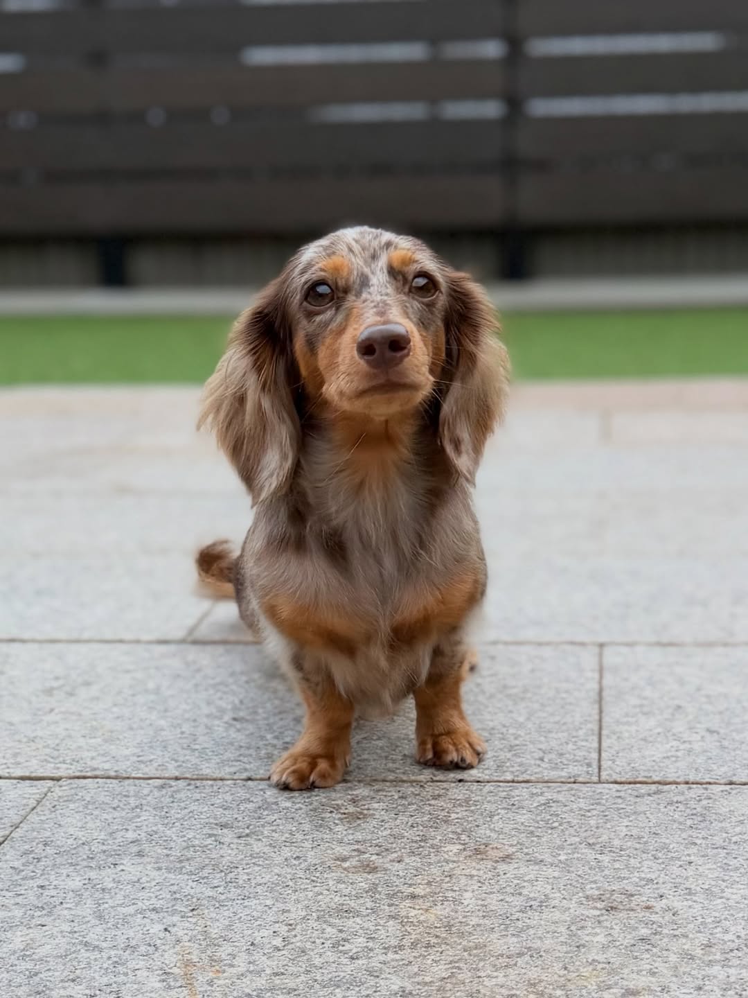 Parents Rye Female